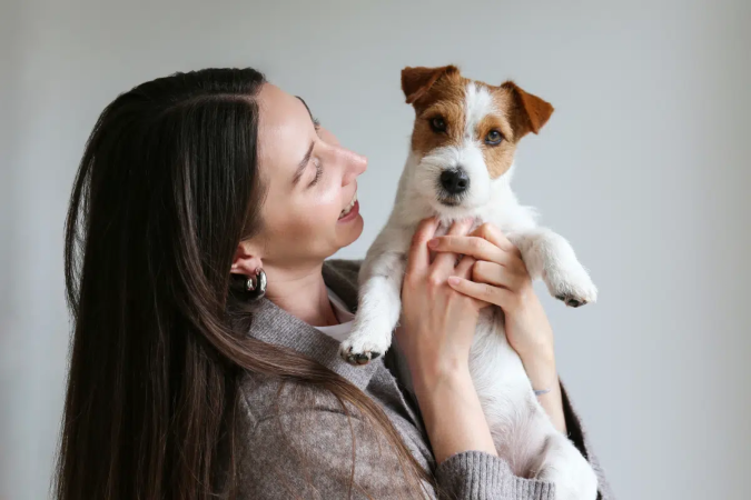 Observar o comportamento dos pets pode ajudar os tutores a perceber sinais de dor e alterações na saúde (Imagem: evrymmnt | Shutterstock) - (crédito: EdiCase) Observar o comportamento dos pets pode ajudar os tutores a perceber sinais de dor e alterações na saúde (Imagem: evrymmnt | Shutterstock) - (crédito: EdiCase)