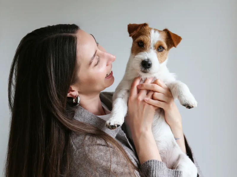 Observar o comportamento dos pets pode ajudar os tutores a perceber sinais de dor e alterações na saúde (Imagem: evrymmnt | Shutterstock)  -  (crédito: EdiCase)
