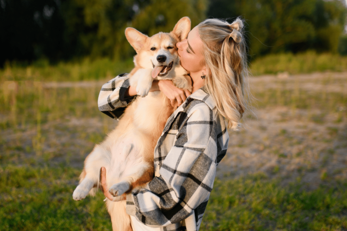 Os cachorros utilizam principalmente a linguagem corporal para se comunicar (Imagem: Yury Nikolaev | Shutterstock)
- (crédito: EdiCase) Os cachorros utilizam principalmente a linguagem corporal para se comunicar (Imagem: Yury Nikolaev | Shutterstock)
- (crédito: EdiCase)