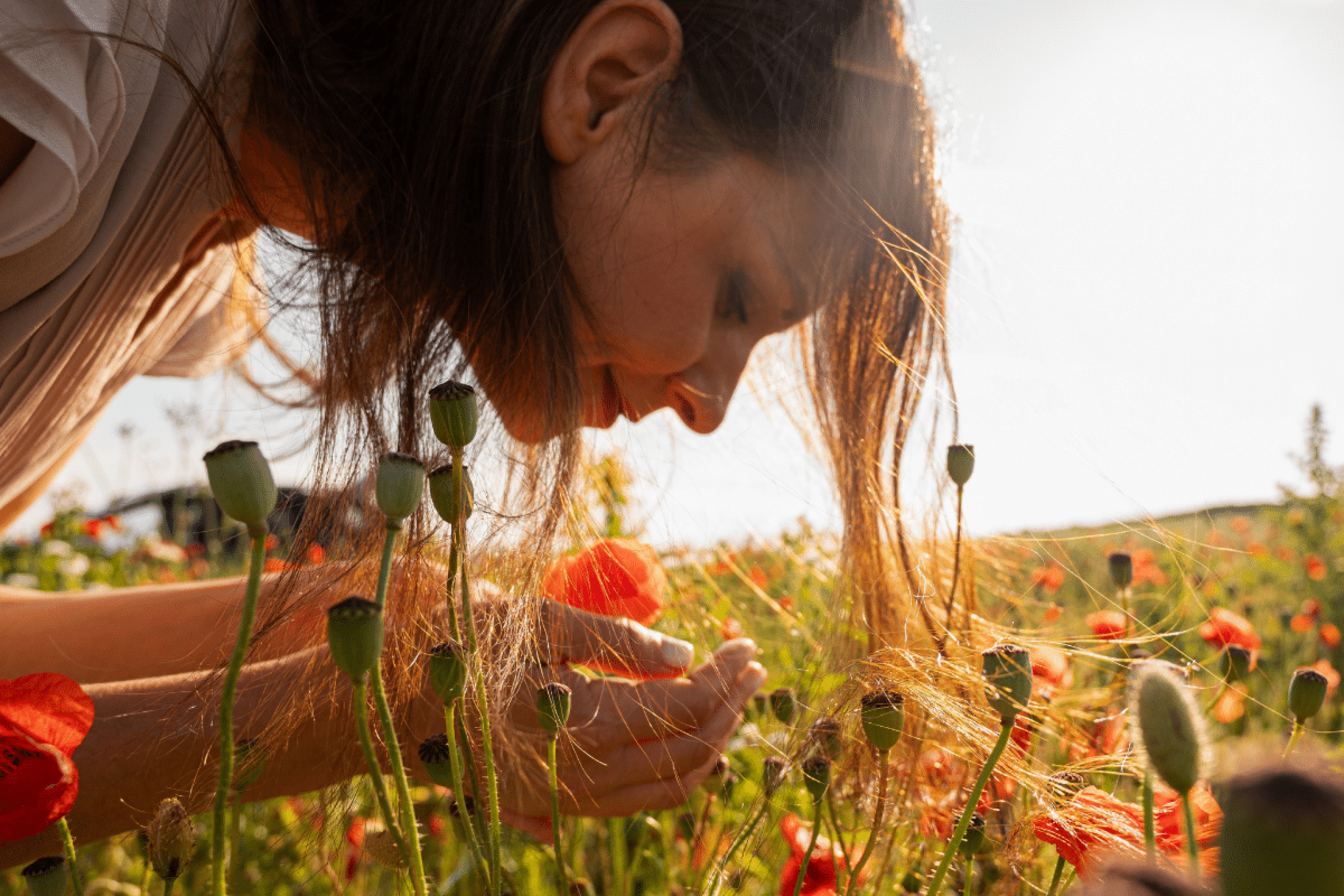 O que é o equinócio da primavera? Entenda o fenômeno e aprenda rituais simbólicos 