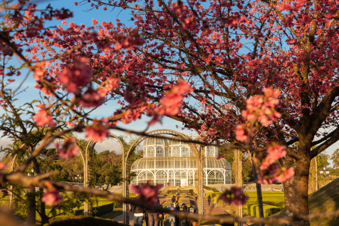 Na primavera, o Brasil floresce e vira o destino perfeito para viajar (Imagem: Pedro Moraes | Shutterstock) - (crédito: EdiCase) Na primavera, o Brasil floresce e vira o destino perfeito para viajar (Imagem: Pedro Moraes | Shutterstock) - (crédito: EdiCase)