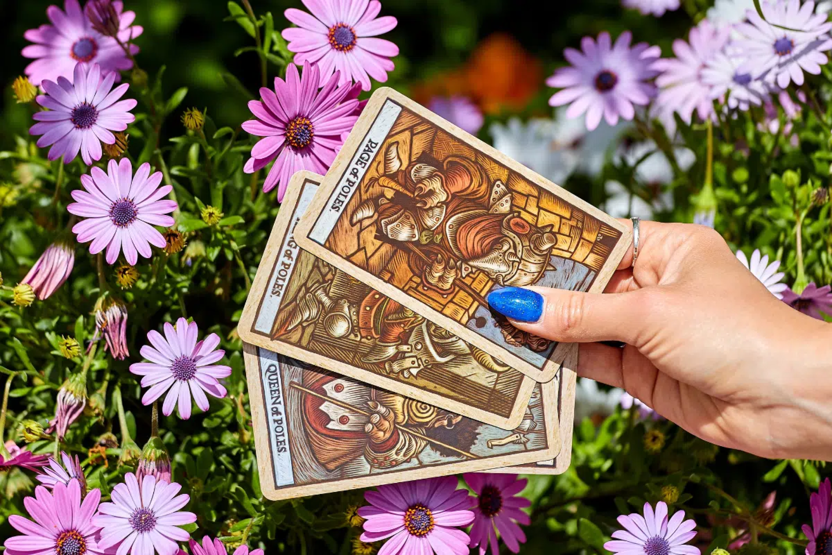 O que a primavera poderá trazer para seu signo? Veja as tendências para amor, trabalho e dinheiro 
