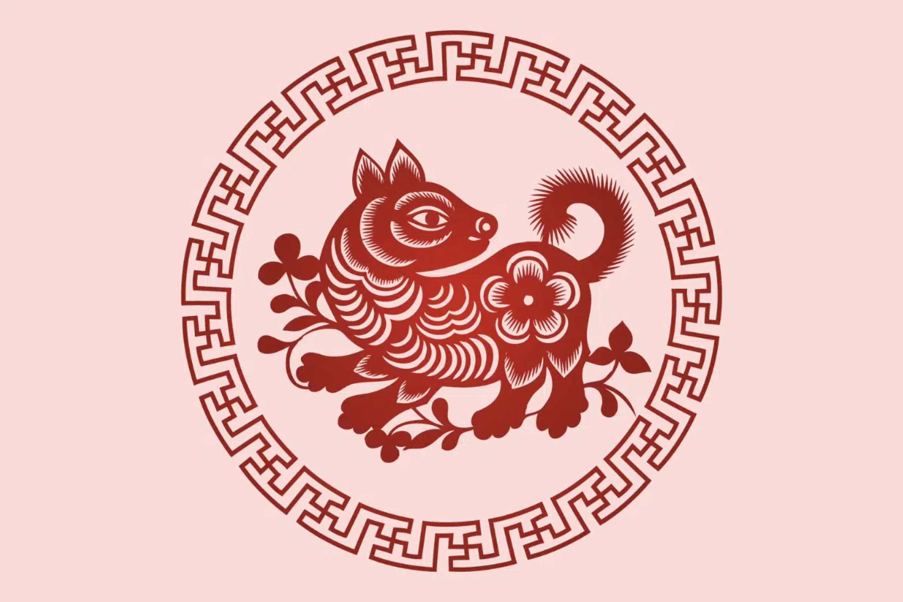 Signo do Cachorro no Horóscopo Chinês: conheça a personalidade e as principais características