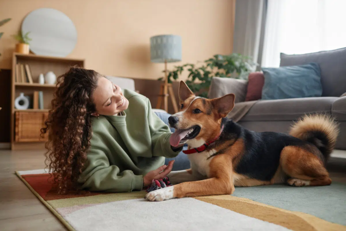 Figuras bíblicas oferecem diversas inspirações de nomes para cachorro (Imagem: SeventyFour | Shutterstock) - (crédito: EdiCase) Figuras bíblicas oferecem diversas inspirações de nomes para cachorro (Imagem: SeventyFour | Shutterstock) - (crédito: EdiCase)