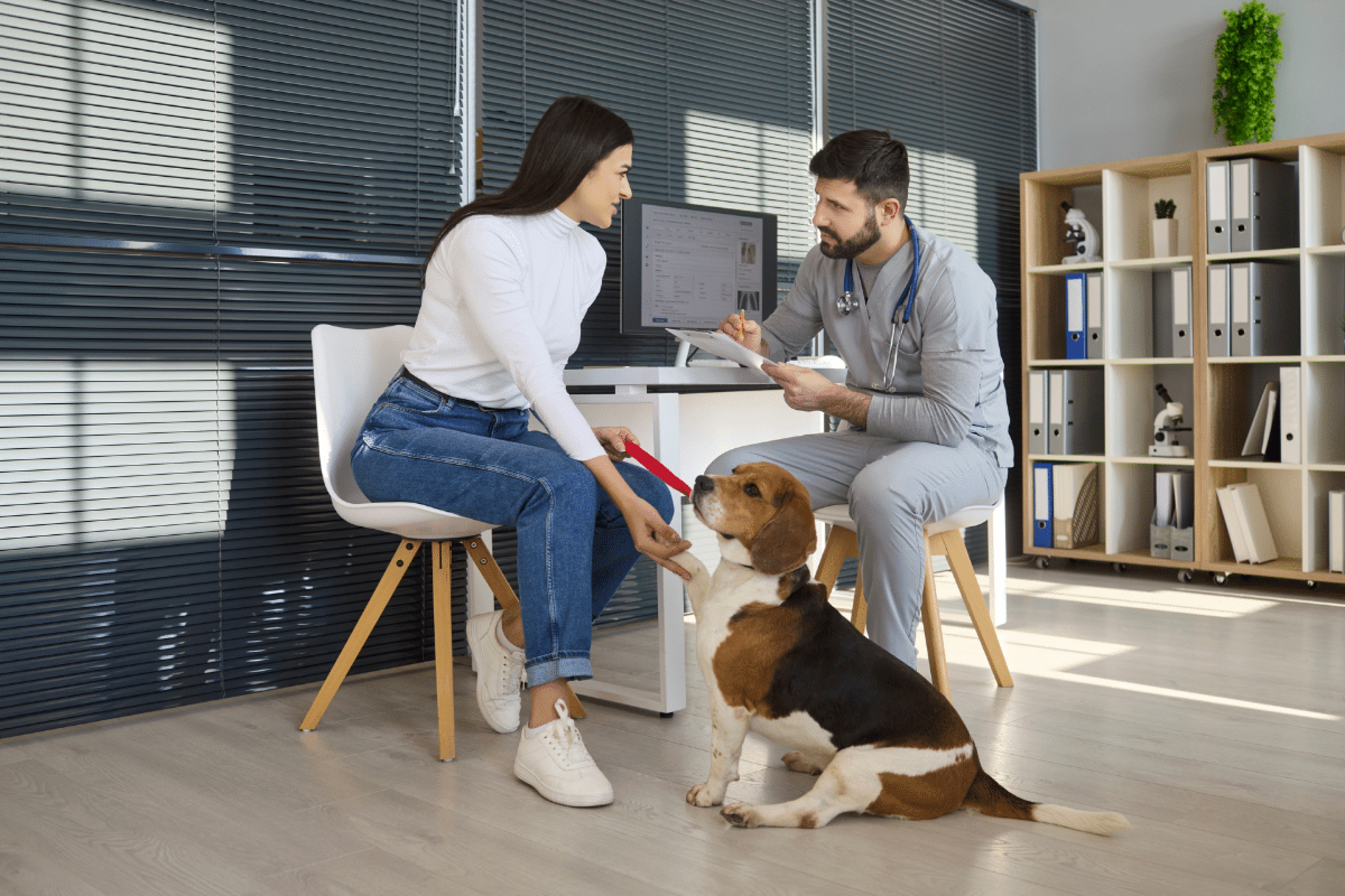 Pet idoso: 7 perguntas para fazer ao veterinário antes de mudar a alimentação