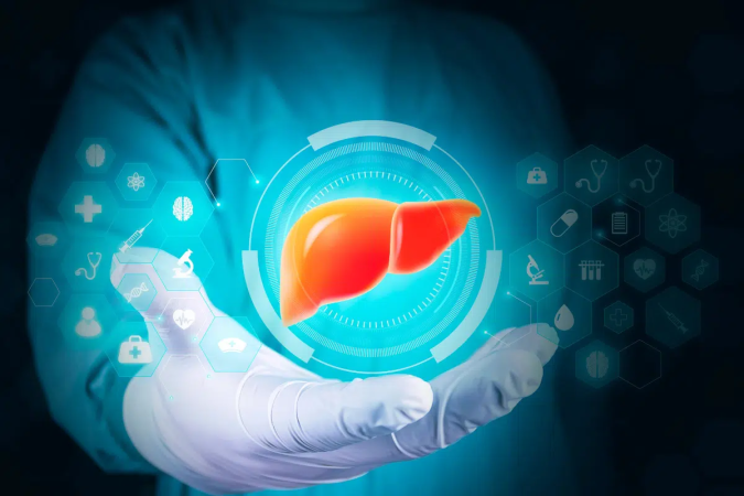 A esteatose hepática pode estar relacionada a diferentes alterações metabólicas (Imagem: Antonio Marca | Shutterstock) - (crédito: EdiCase) A esteatose hepática pode estar relacionada a diferentes alterações metabólicas (Imagem: Antonio Marca | Shutterstock) - (crédito: EdiCase)