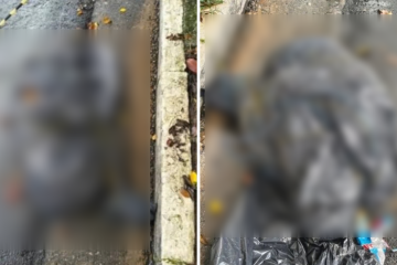 A frequência de crimes com marcas de extrema violência coloca em alerta as equipes de investigação da capital paulista -  (crédito: Reprodução/Redes sociais )