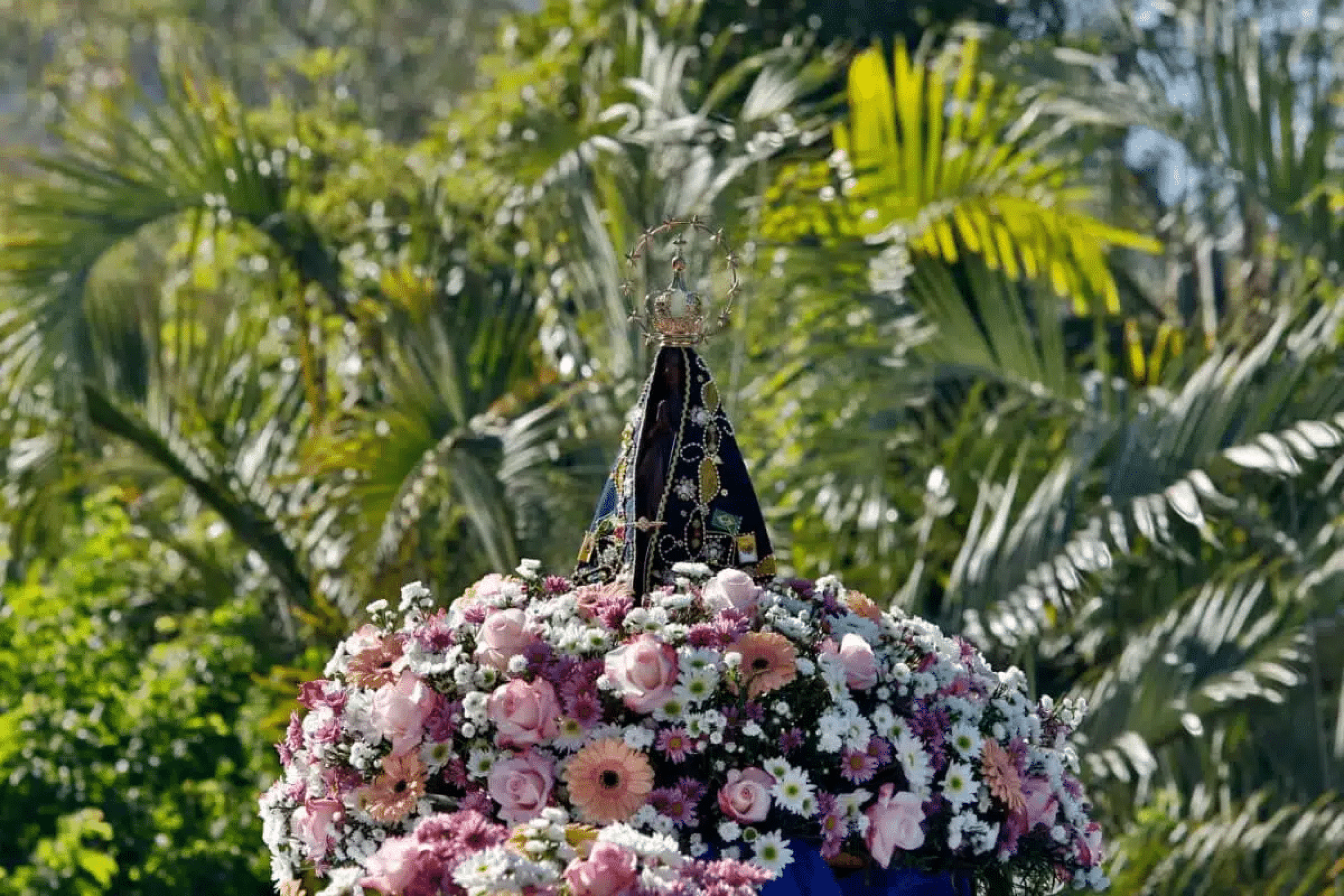 Dia de Nossa Senhora Aparecida: conheça flores para homenagear a santa