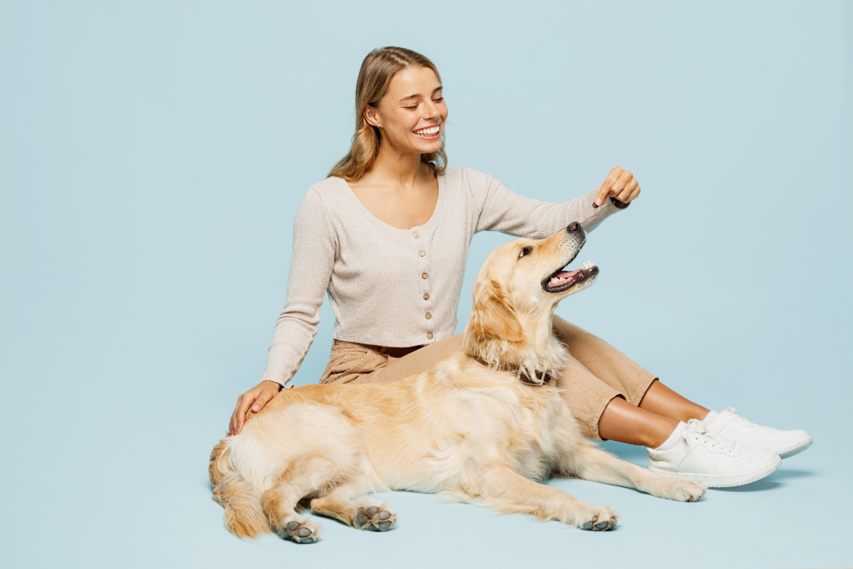 Veja como oferecer petiscos a cães com alergias sem abrir mão dos momentos de carinho