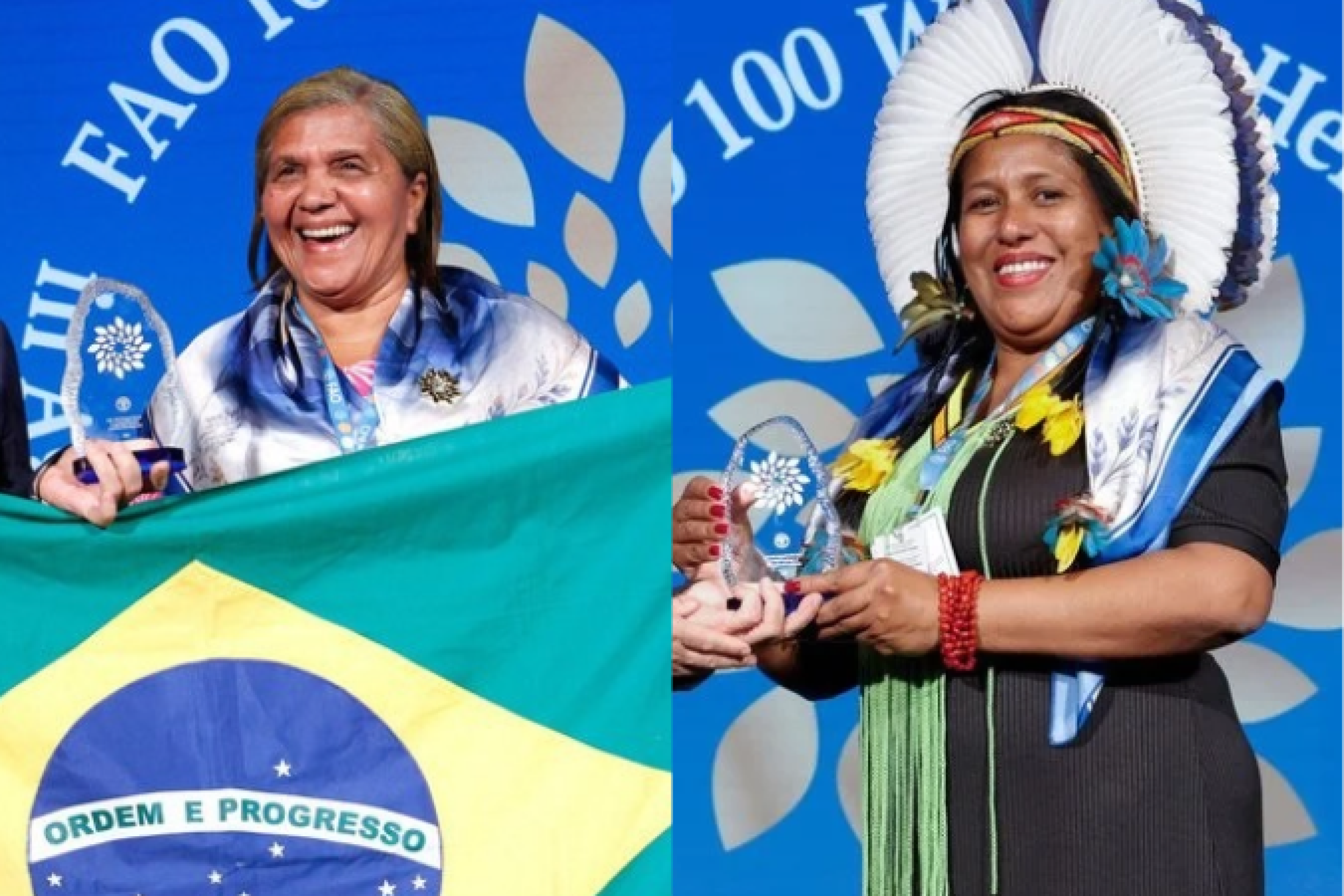 Heroínas dos sistemas agroalimentares: conheça as brasileiras reconhecidas pela FAO